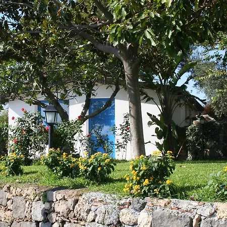 Avocado Beyond Bed and Breakfast Giardini Naxos