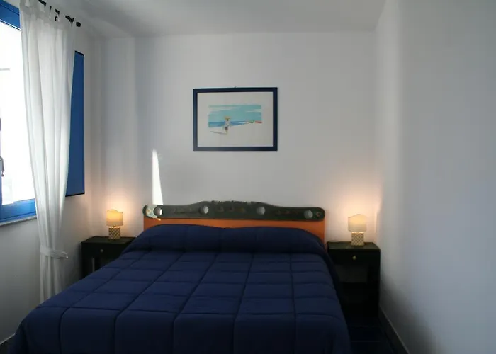 Avocado Beyond Bed and Breakfast