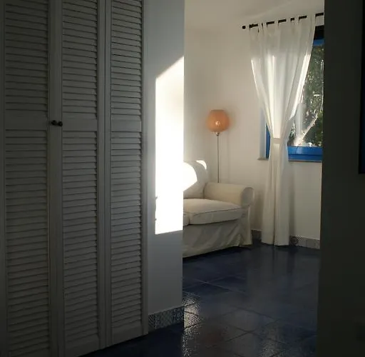 Bed & Breakfast Avocado Beyond