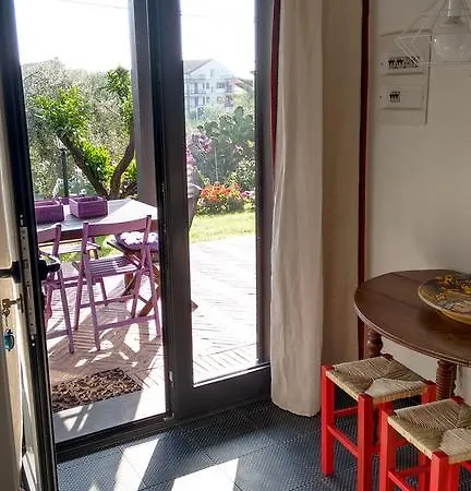 超越鳄梨住宿加早餐旅馆 住宿加早餐酒店