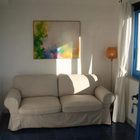 Avocado Beyond 지아르디니낙소스