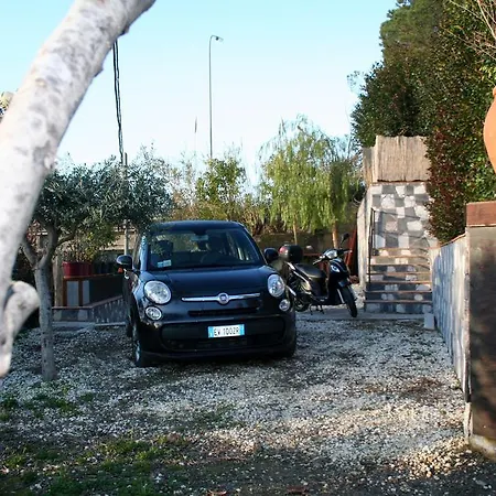 住宿加早餐酒店 超越鳄梨住宿加早餐旅馆 4*