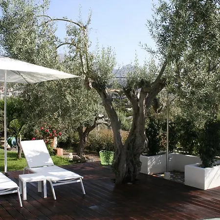 Avocado Beyond 4* Джардіні-Наксос