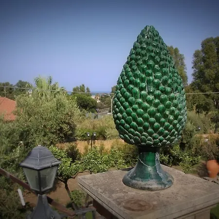 Avocado Beyond 2*