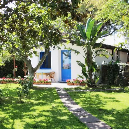 超越鳄梨住宿加早餐旅馆 4*