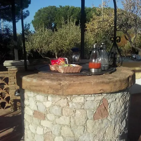 B&B Avocado Beyond 지아르디니낙소스