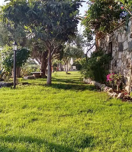 Avocado Beyond ベッド・アンド・ブレックファスト