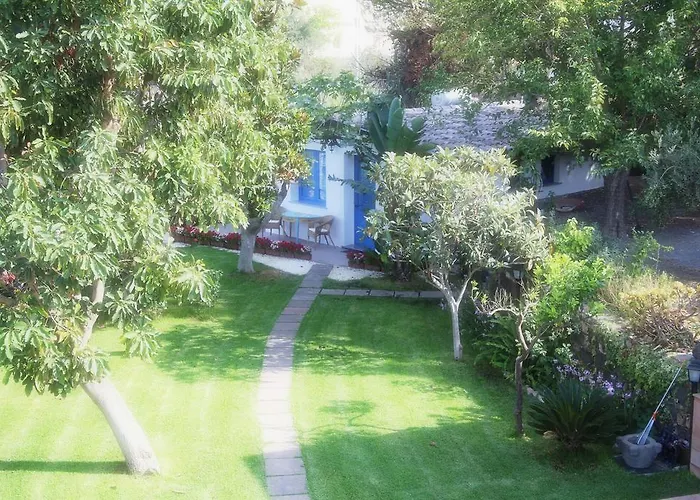 Avocado Beyond ジャルディーニ・ナクソス