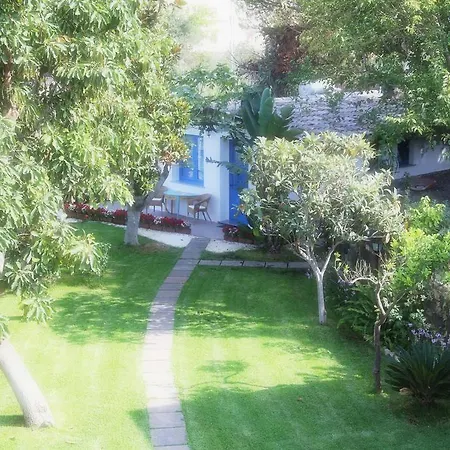 Avocado Beyond Giardini-Naxos